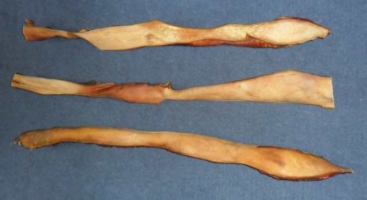 Rinder-Kopfhaut, lang,ca. 50 cm, 5 kg