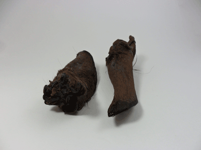 Pferde-Ohren mit Fell, 500 g