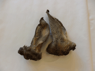Hirsch-Ohren mit Fell, groß, 1 St