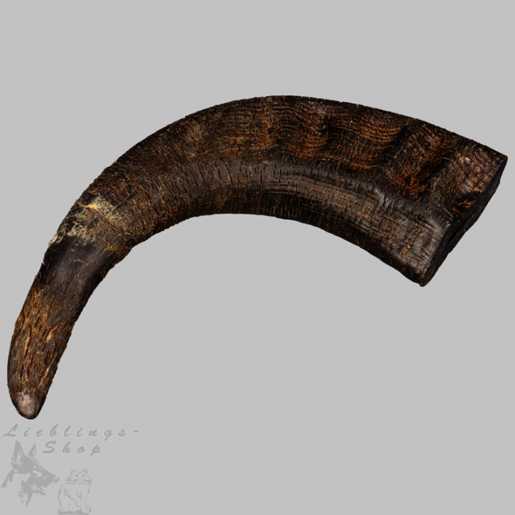 Büffelhorn, Gr. XL, ca. 400 g +, 1 St.